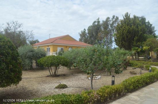 CHALET INDEPENDIENTE DE PLANTA BAJA CON TERRENO - MURCIA