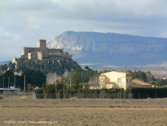 EXCLUSIVA FINCA A POCA DISTANCIA DEL CASCO URBANO - ALBACETE