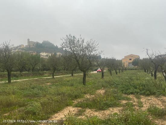 Finca rústica en La Fresneda - TERUEL