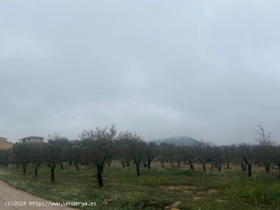 Finca rústica en La Fresneda - TERUEL