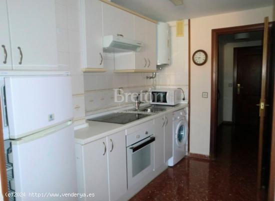 Estupendo apartamento amueblado junto a Paseo Cuellar. - ZARAGOZA