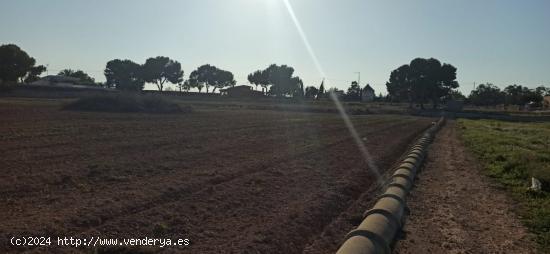 PARCELA EN VALVERDE - ALICANTE