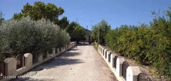  CASA CON 17.500 M2 DE TERRENO CAMPO EN ASPRILLAS - ALICANTE 