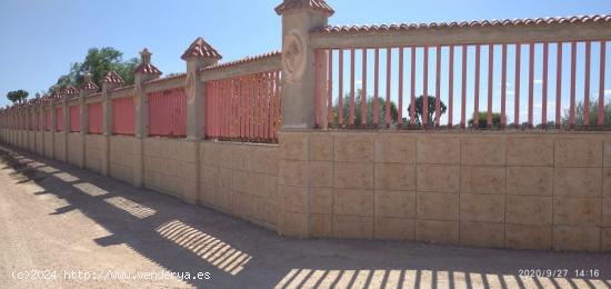 CASA CON 17.500 M2 DE TERRENO CAMPO EN ASPRILLAS - ALICANTE