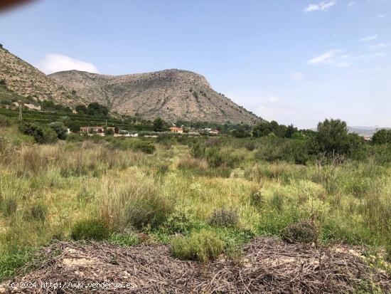 TERRENO EN ASPE - ALICANTE