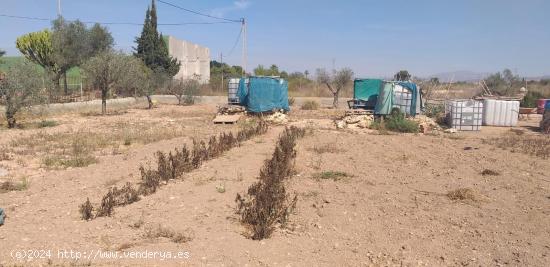 VENDO TERRENO RUSTICO EN PERLETA IDEAL PARA MOBIL HOME - ALICANTE