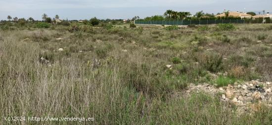  TERRENO EN MAITINO 11.333M2 - ALICANTE 