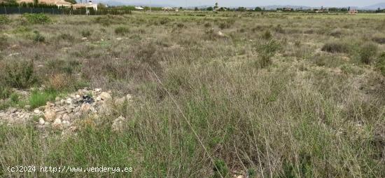 TERRENO EN MAITINO 11.333M2 - ALICANTE