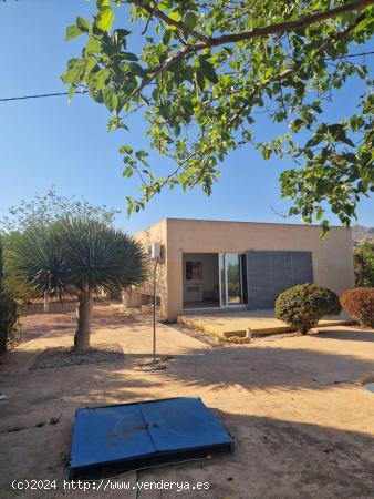 IMPECABLE CHALET EN MORALET / ALICANTE - ALICANTE