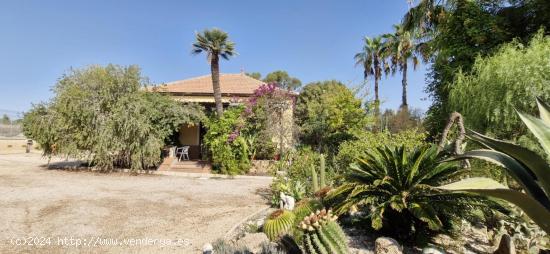 BONITA FINCA RUSTICA A 3 MINUTOS DEL PUEBLO DEL ALTE - ALICANTE