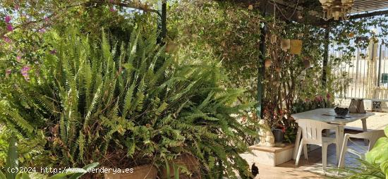 BONITA FINCA RUSTICA A 3 MINUTOS DEL PUEBLO DEL ALTE - ALICANTE