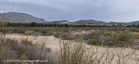  12000M2 TERRENO RUSTICO CON AGUA Y LUZ SOLO CONSTRUIR EL CHALET DE TUS SUEÑOS - ALICANTE 