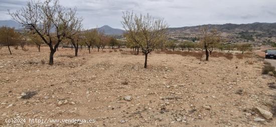 TERRENO 8500 M2  EN ABANILLA PARA COSNTRUIR - MURCIA