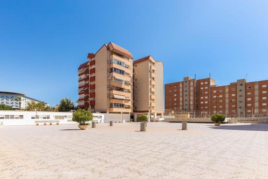 PISO EN EL CENTRO DE MURCIA. - MURCIA