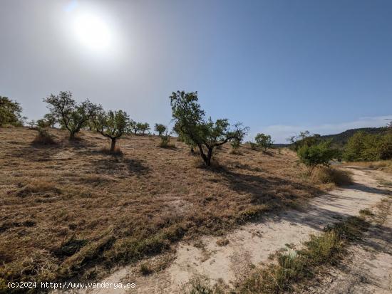 Se Vende en Alhama de Granada - GRANADA