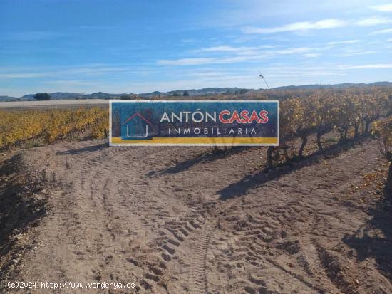 Terreno en Novelda / 4800m2 / Agua de riego - ALICANTE