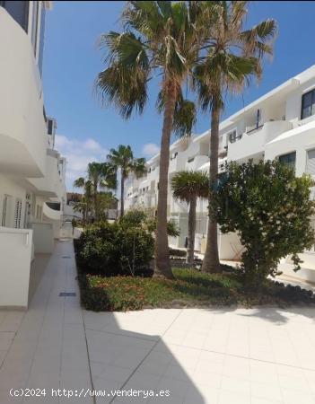 Apartamento Esquinero con Piscina en Nuevo Horizonte, Fuerteventura - LAS PALMAS