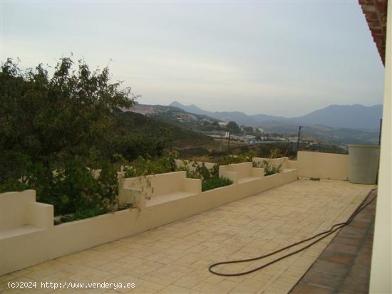  Finca en venta en Manilva (Málaga) 