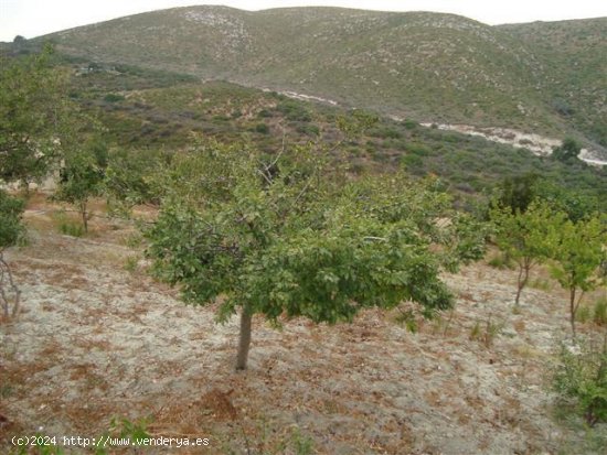 Finca en venta en Manilva (Málaga)