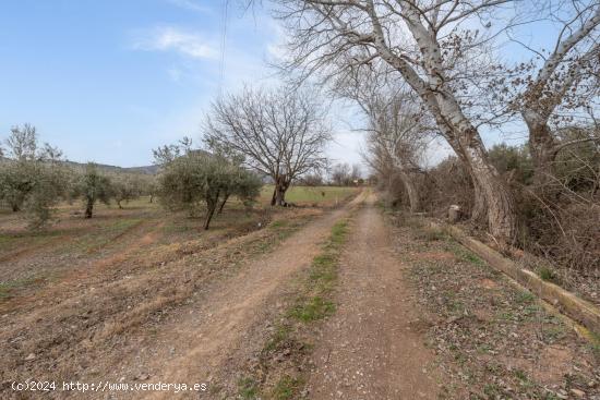 Finca rústica de regadío en Albolote - GRANADA