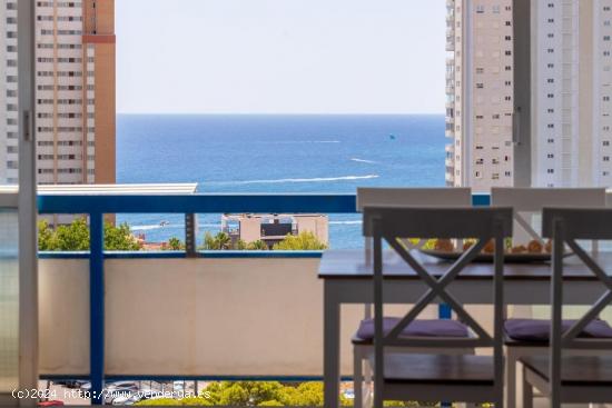 Apartamento reformado con vistas al mar y piscina comunitaria - Alquiler máximo 5 meses - ALICANTE