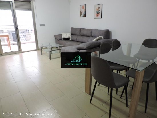  Apartamento en alquiler en Torrevieja (Alicante) 