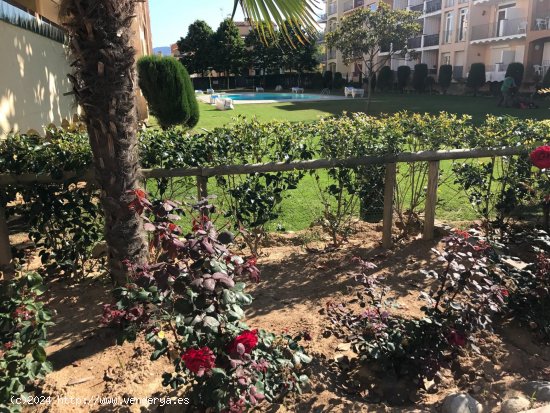 Apartamento en venta  en Empuria-brava - Girona