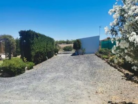 Casa de campo-Masía en Venta en Gibraleon Huelva