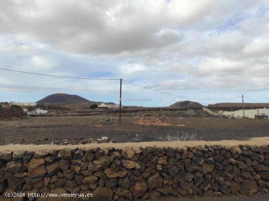 ¡OPORTUNIDAD! Terreno en La Oliva