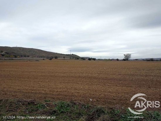 TERRENO RUSTICO EN CIEMPOZUELOS