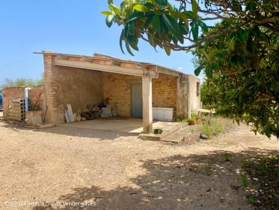  Casa de piedra de 60 m2 con balsa en terreno de casi 3 ha 