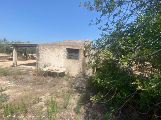 Casa de piedra de 60 m2 con balsa en terreno de casi 3 ha