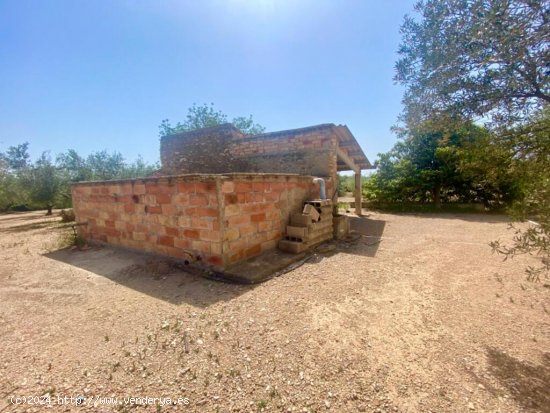 Casa de piedra de 60 m2 con balsa en terreno de casi 3 ha