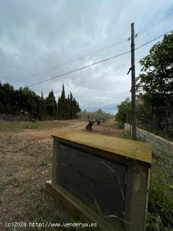 Terreno Rural zona de Valverde - ALICANTE