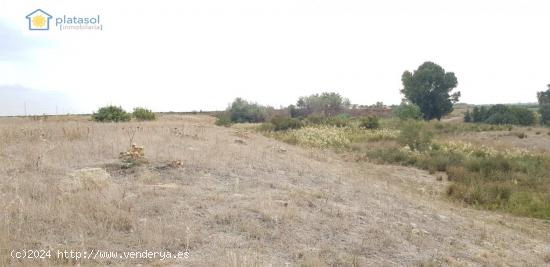 Finca rústica de 5 hectáreas en Guillena Sevilla, con luz y agua a pie de parcela - SEVILLA