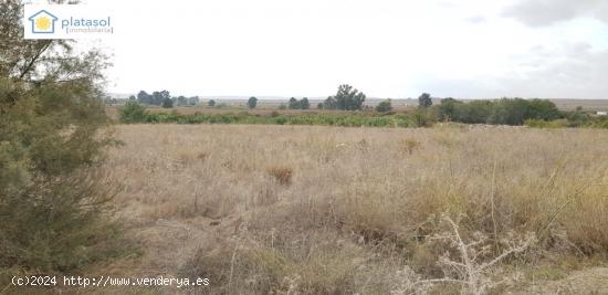 Finca rústica de 5 hectáreas en Guillena Sevilla, con luz y agua a pie de parcela - SEVILLA