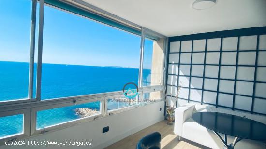  APARTAMENTO EN LA ALBUFERA - ALICANTE 