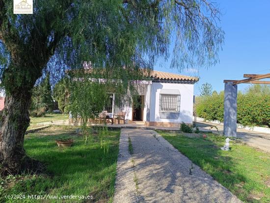  SE ALQUILA CHALET EN EL PUERTO DE SANTA MARIA - CADIZ 