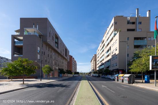 Local comercial en el Campus de la Salud - GRANADA