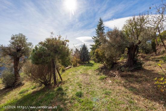 Cortijo en el Valle del Poqueira - GRANADA