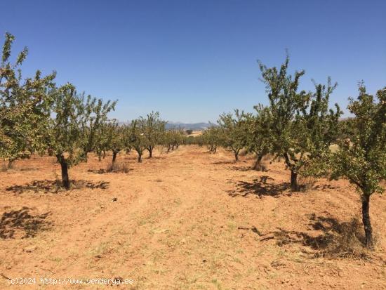 Lote de solares en Dílar - GRANADA