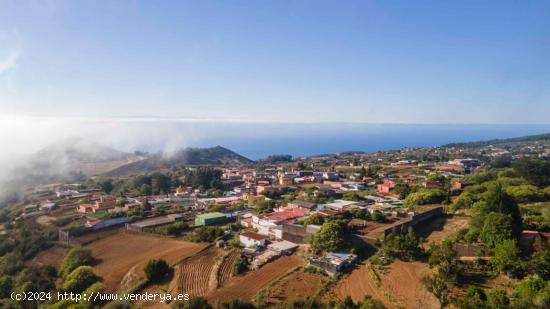 CHALET CON  FANTASTICO MONTE EN LA ESPERANZA - SANTA CRUZ DE TENERIFE