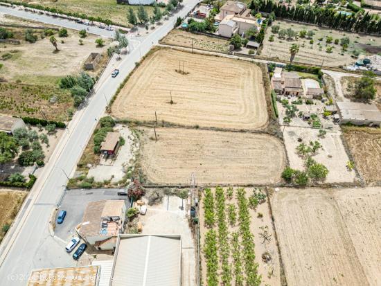 SOLAR URBANO COMERCIAL EN PORRERES - BALEARES