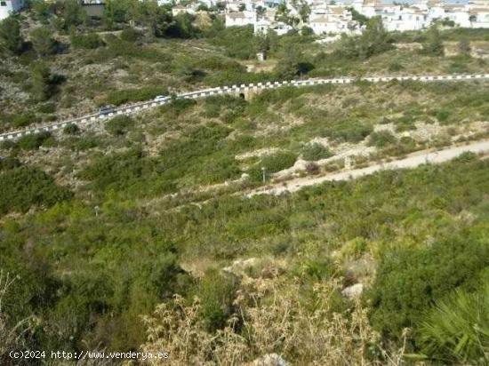 TERRENO URBANO EN PEGO - ALICANTE