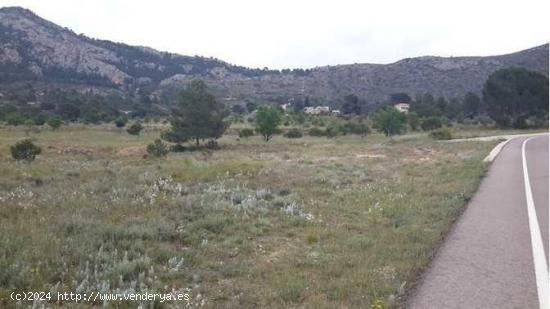 TERRENO URBANO EN VILLENA - ALICANTE