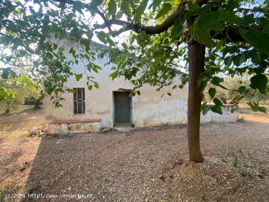  Fantástica finca con casa en la Miliana - TARRAGONA 