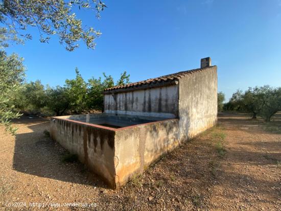 Fantástica finca con casa en la Miliana - TARRAGONA