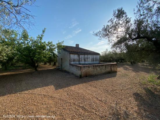 Fantástica finca con casa en la Miliana - TARRAGONA