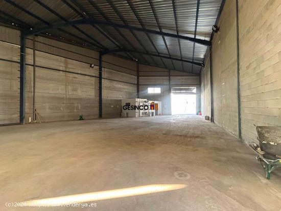 NAVE INDUSTRIAL EN ALQUILER EN MANUEL - VALENCIA