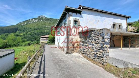 CASA DE PIEDRA CON AMPLIA PARCELA. INMEJORABLES VISTAS. SOBA. REGULES - CANTABRIA